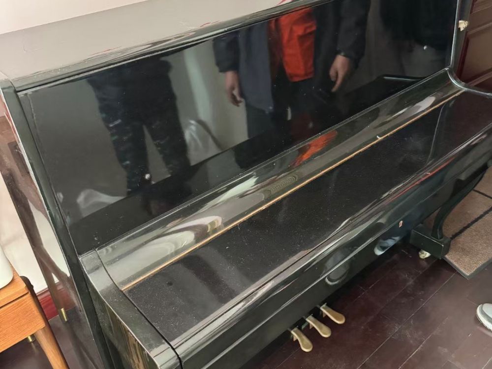 如何选择合适的保险计划保障您的搬家？